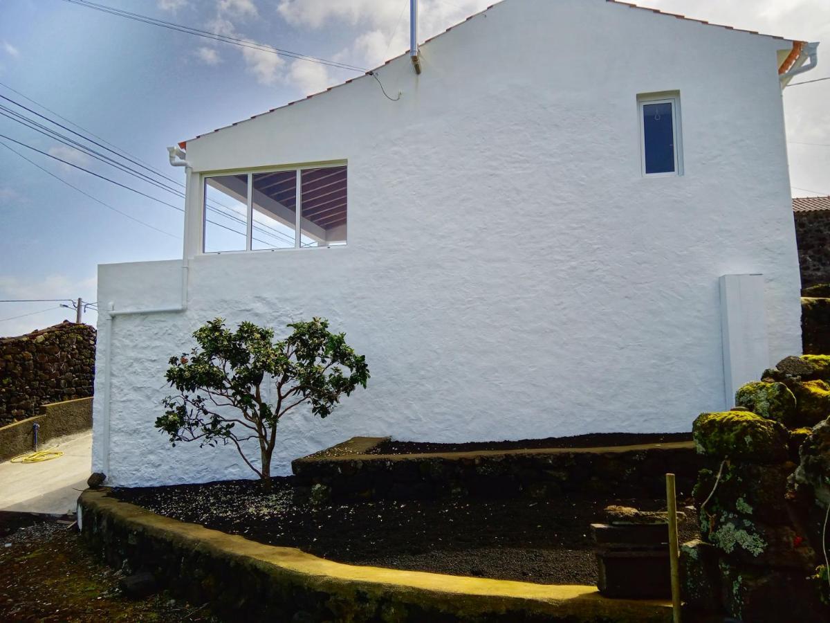 Casa Do Marcelino Lagarto Villa Sao Roque do Pico Exterior photo