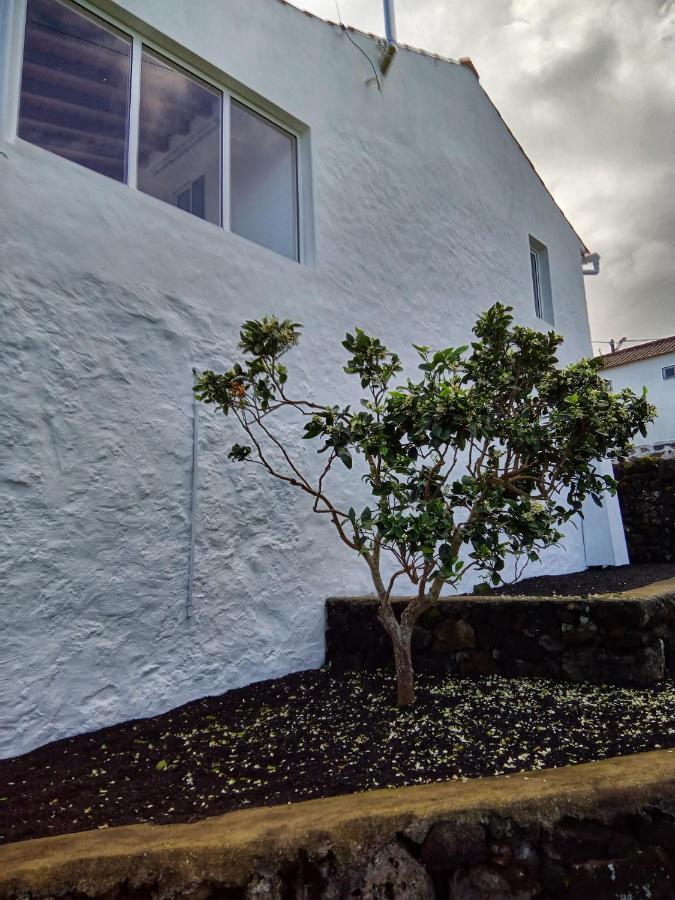 Casa Do Marcelino Lagarto Villa Sao Roque do Pico Exterior photo