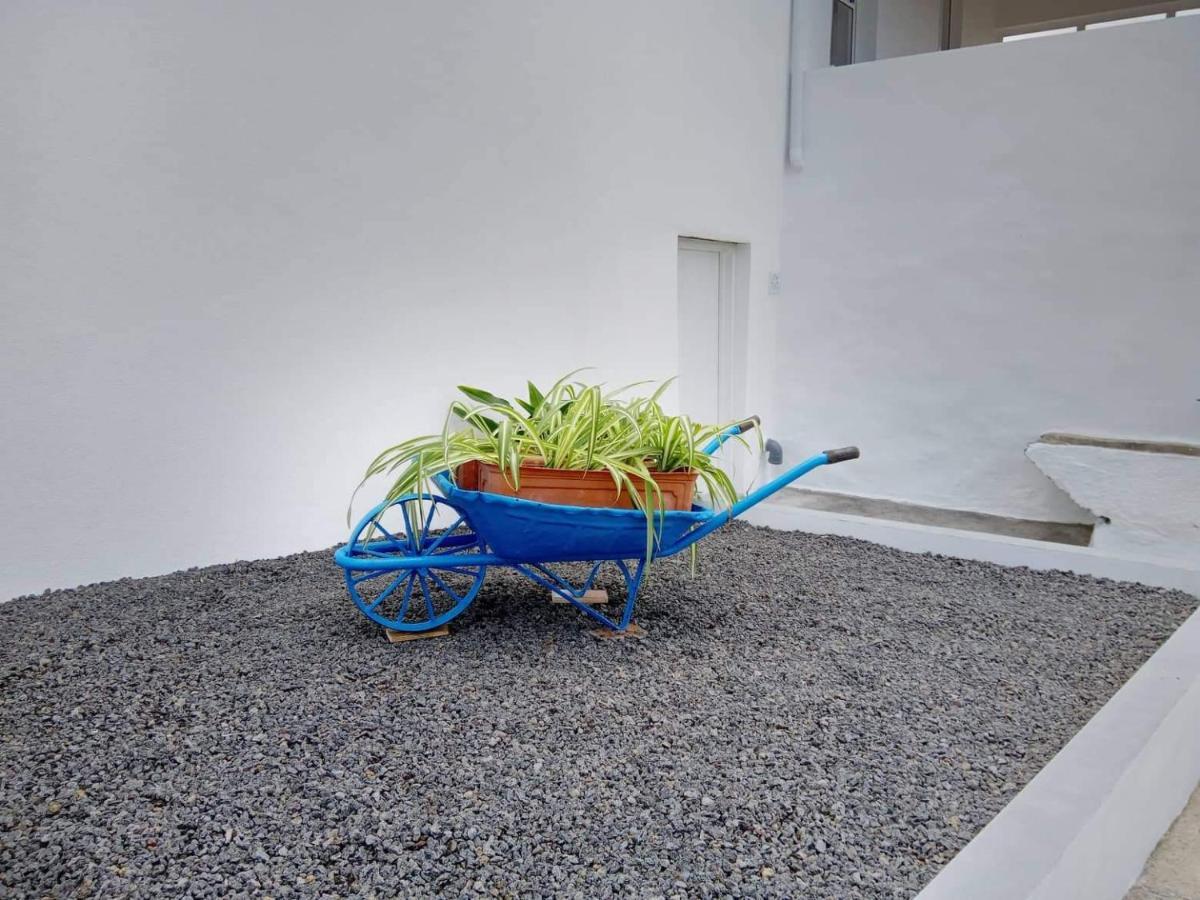 Casa Do Marcelino Lagarto Villa Sao Roque do Pico Exterior photo